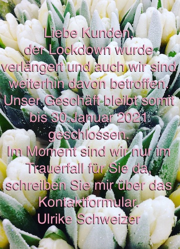 Fppfqvklhovdwm